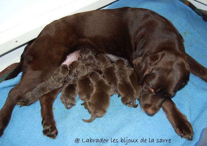 Kimas ersten 8 Wochen