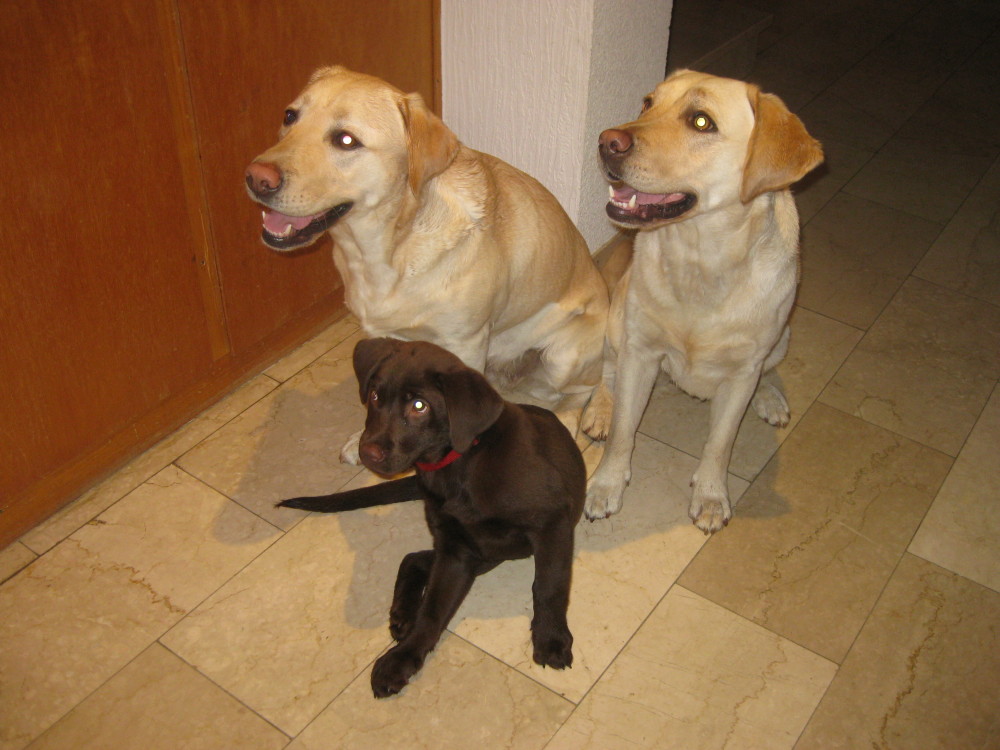 Besuch bei Emma Nov. 08